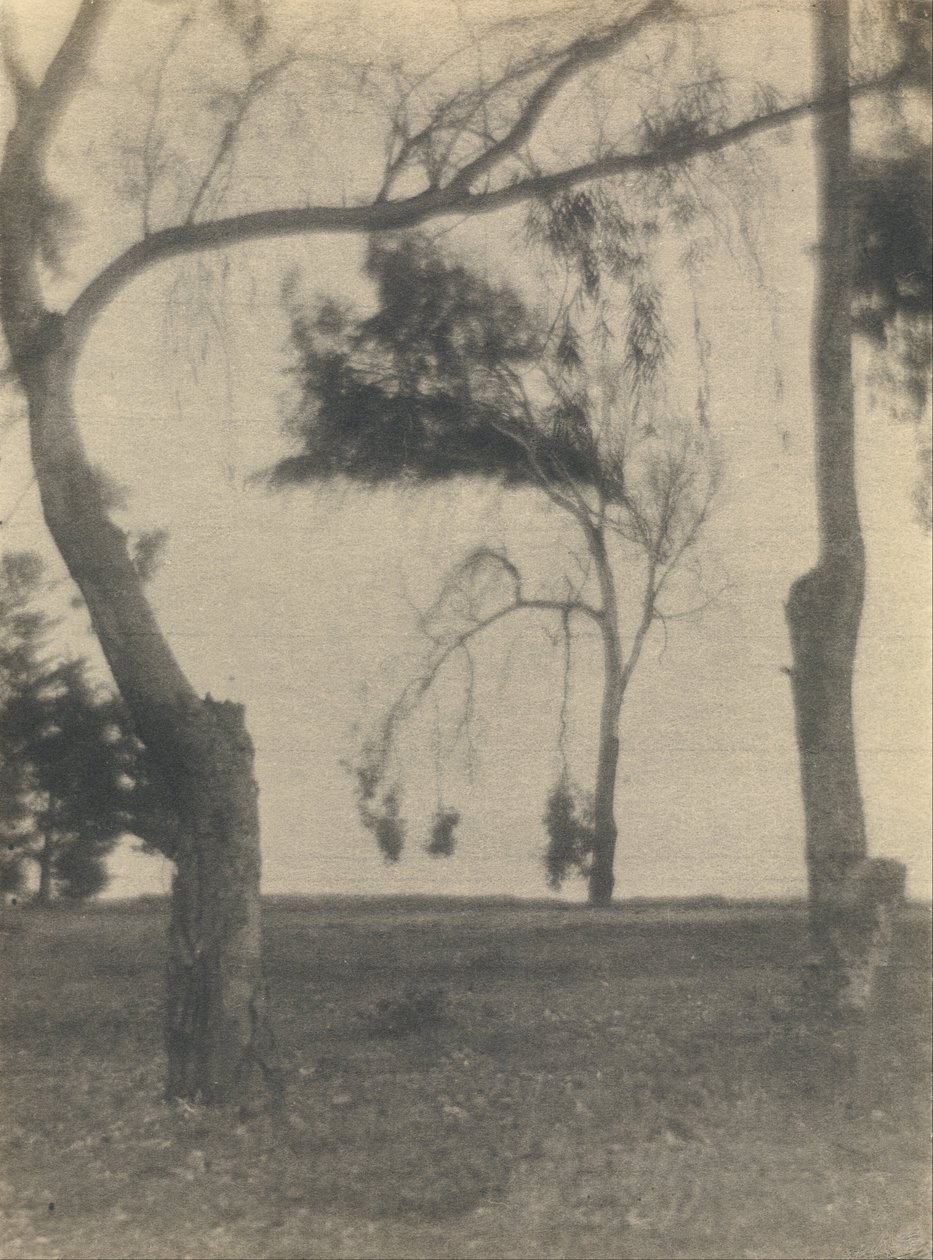 (Landscape with Trees) av Louis Fleckenstein