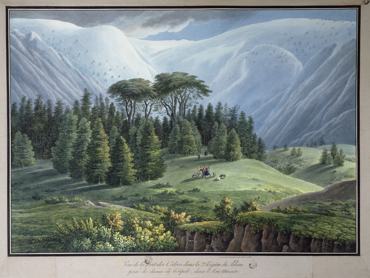 Utsikt över Libanons cederskogar sett från Tripolivägen, ca 1800 (bläck och wc på papper) av Louis Francois Cassas