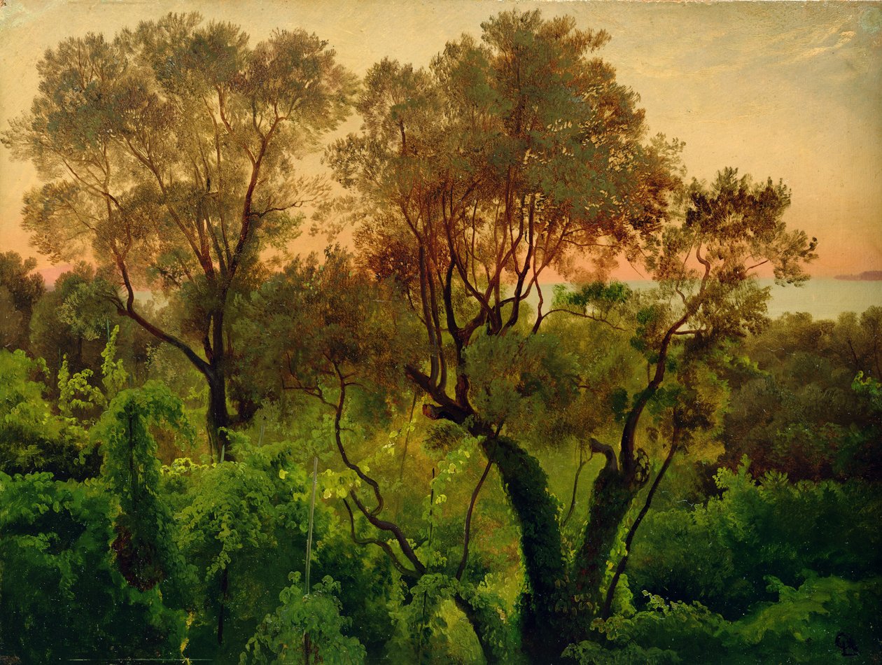 Slope med olivträd (olja på papper på panel) av Louis Gurlitt
