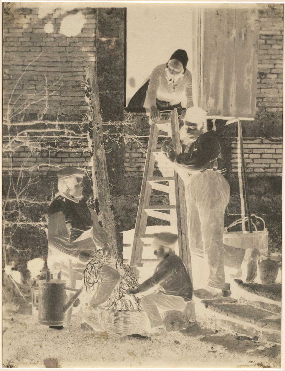 Sorterare av bönor,ca. 1857 (foto) av Louis Adolphe Baron Humbert de Molard