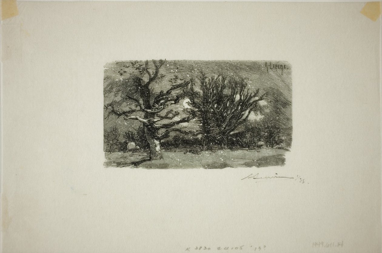 Au Dormoir de Lantara av Louis Auguste Lepère