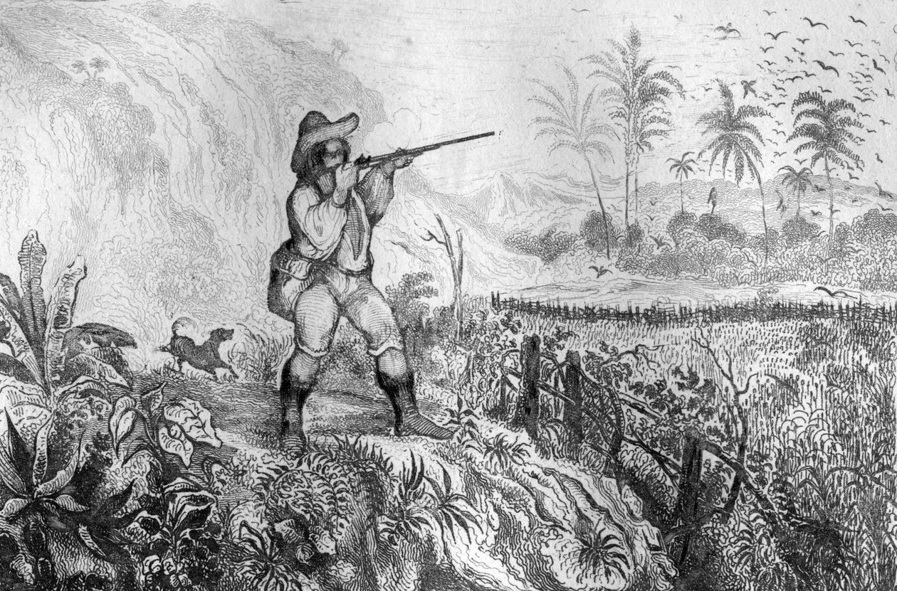 Jag dödade tre... gravyr efter M. de Sainsons teckning för Daniel Defoes bok (De foe) "Robinson Crusoe"" fransk upplaga från 1837. av Louis Auguste de Sainson