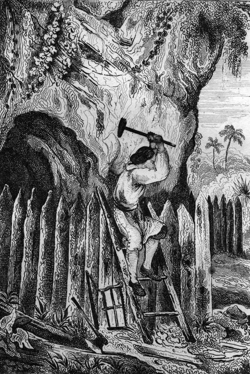 Jag planterade tio rader med palissader. gravyr efter M. de Sainsons teckning till Daniel Defoes bok (De foe) “Robinson Crusoe”” fransk upplaga från 1837. av Louis Auguste de Sainson