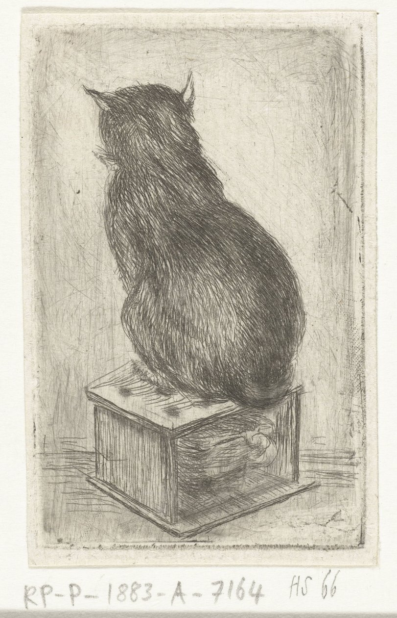 Katt som sitter på en spis av Louis Bernard Coclers