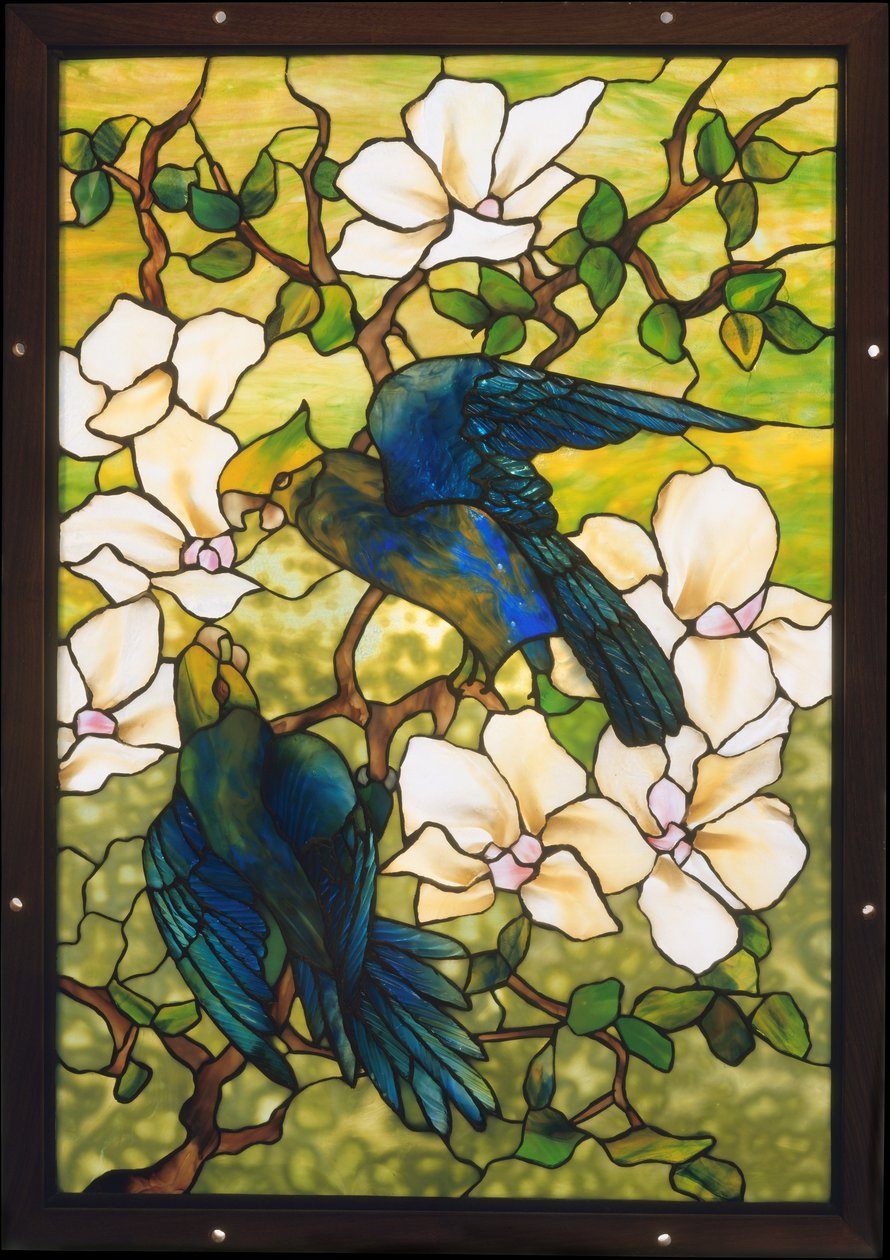 Hibiscus och papegojor, ca 1910-20 (blyat ömtåligt glas) av Louis Comfort Tiffany