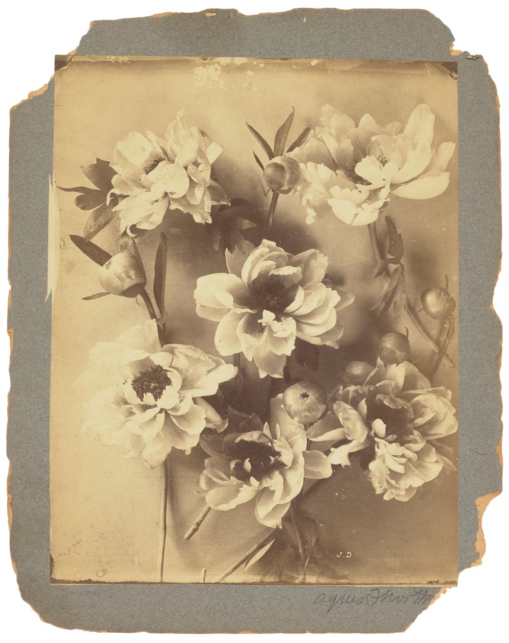 Tiffany Studios, ca 1898-1920 (fotografi s/v) av Louis Comfort Tiffany