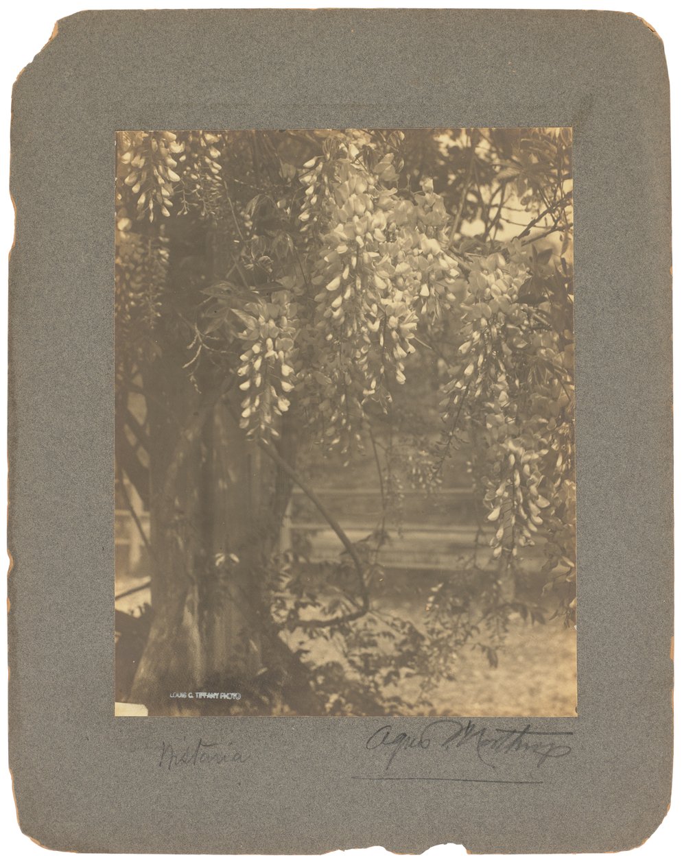 Tiffany Studios, ca 1898-1920 (fotografi s/v) av Louis Comfort Tiffany