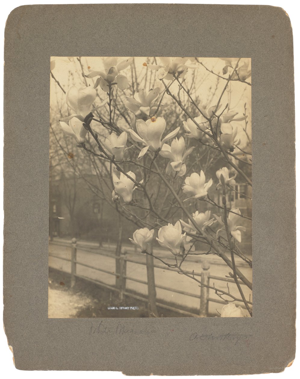 Tiffany Studios, ca 1898-1920 (fotografi s/v) av Louis Comfort Tiffany