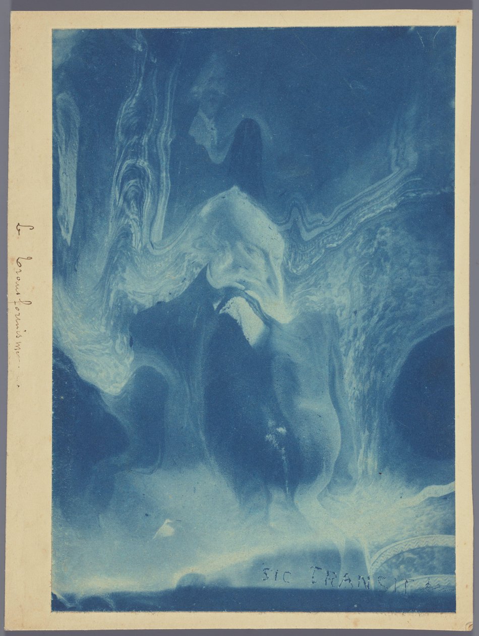 Le transformisme / Sic transit (titel på objekt) av Louis Ducos du Hauron (attributed to)