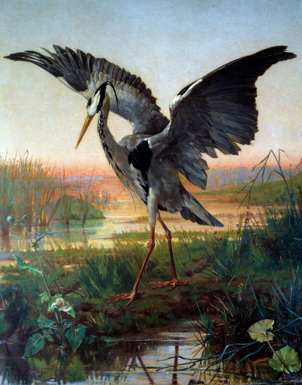 Hägern. Illustration till fabeln "" Hägern och snigeln"" av Jean de La Fontaine av Louis Emile Villa
