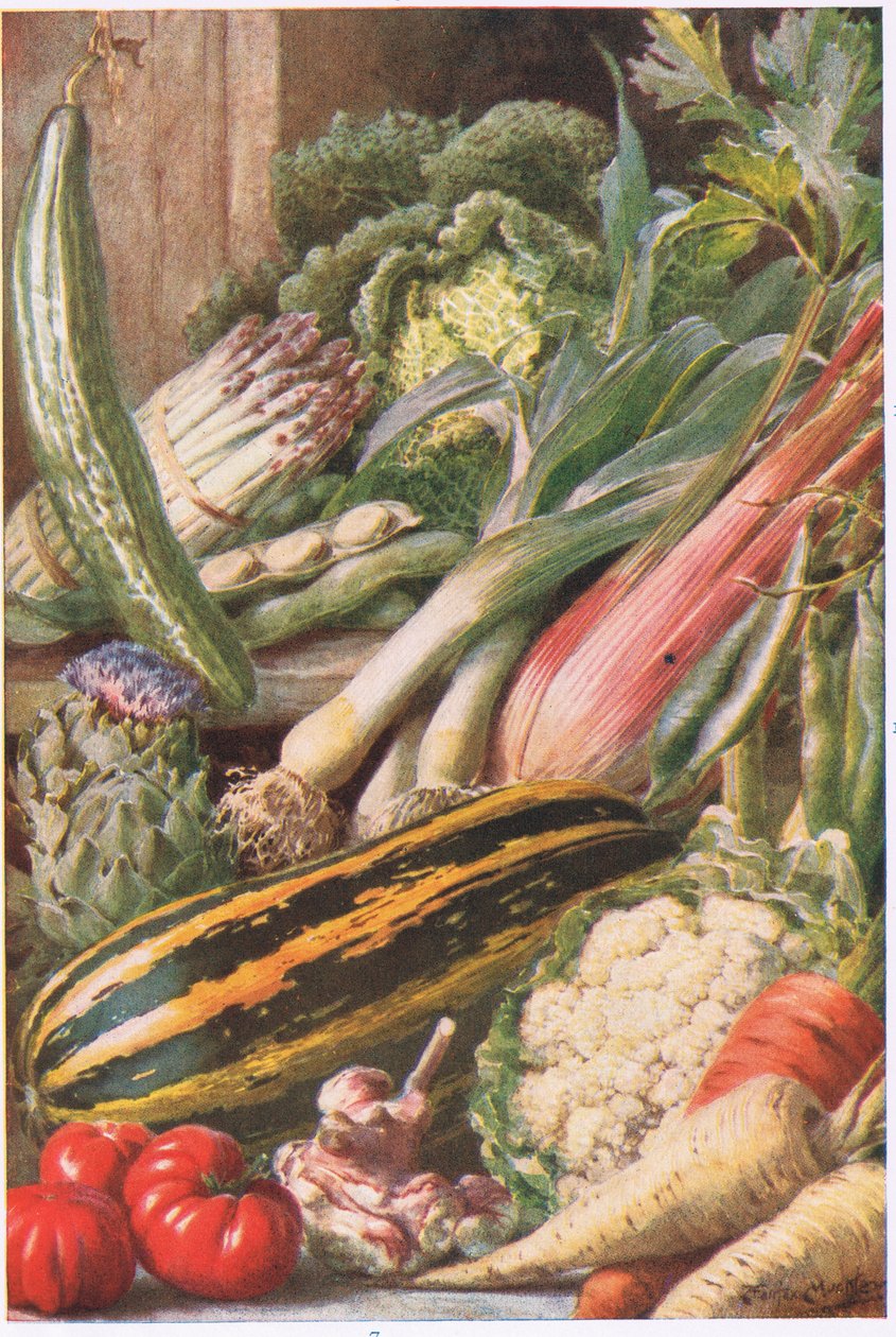 Trädgårdsgrönsaker, illustration från 