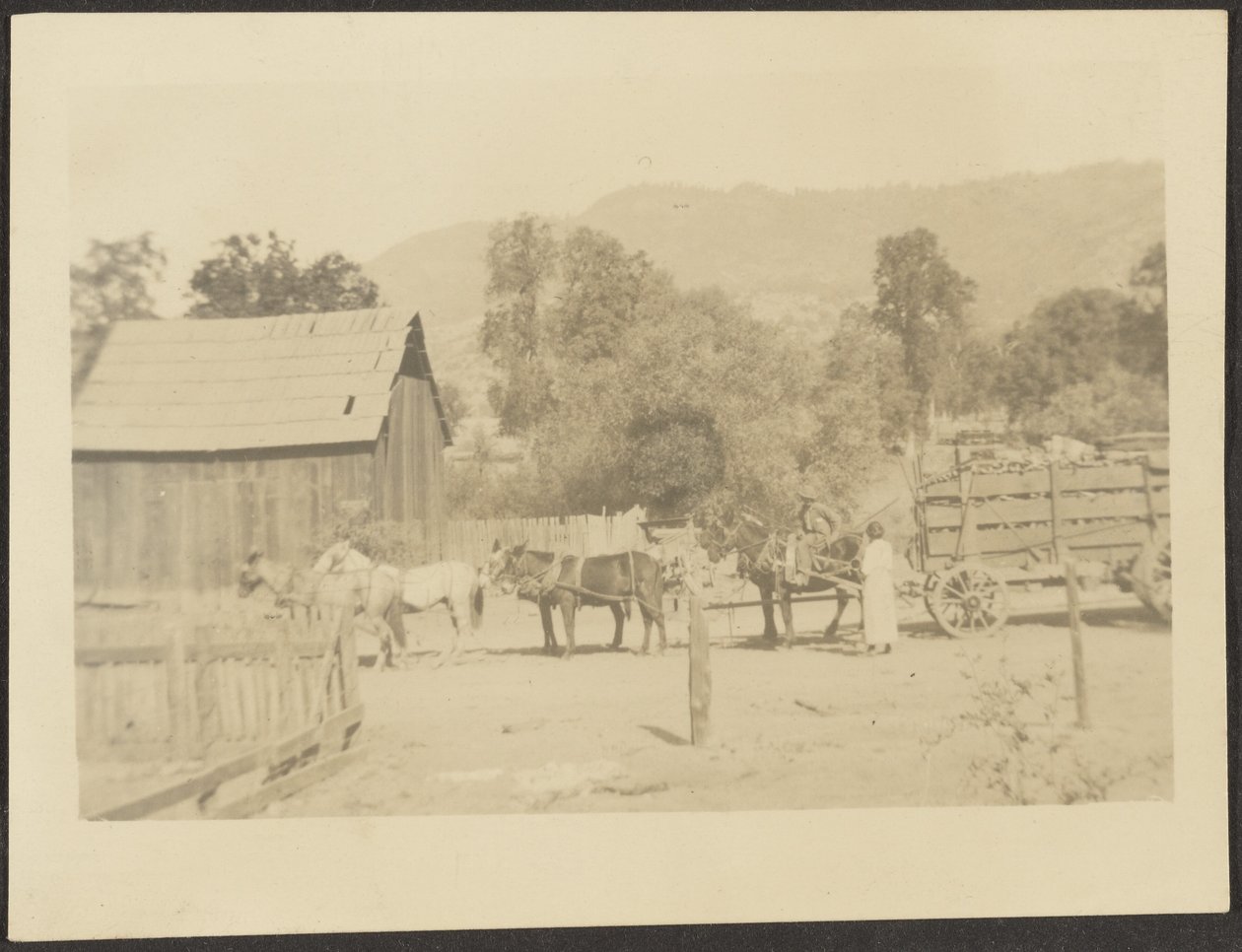 [Barnyard Scene] av Louis Fleckenstein
