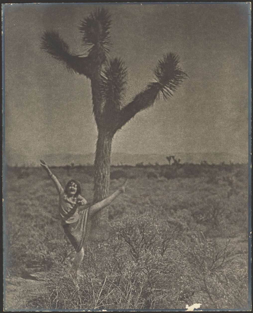 [Dansare vid Joshua Tree] av Louis Fleckenstein