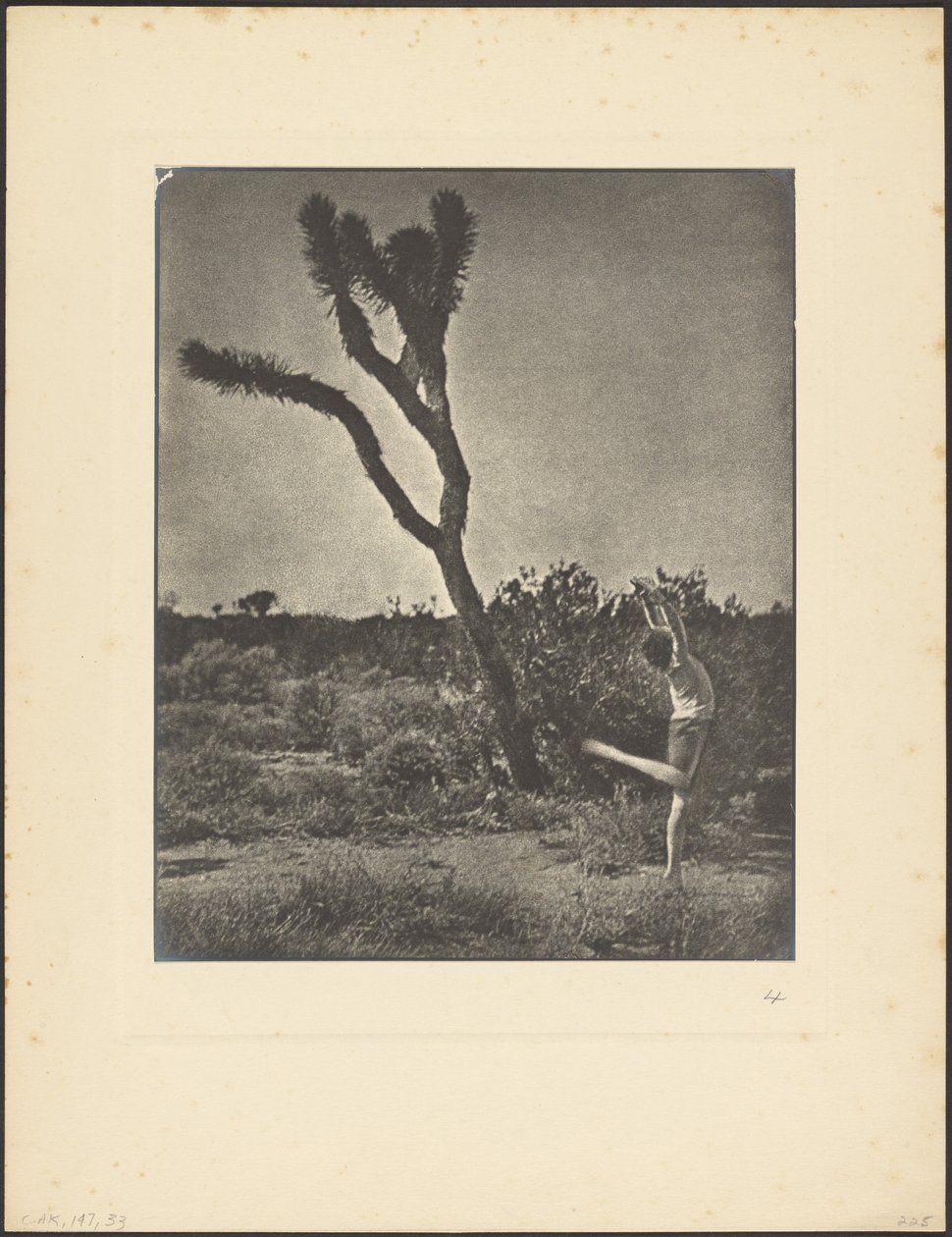 [Dansare vid Joshua Tree] av Louis Fleckenstein