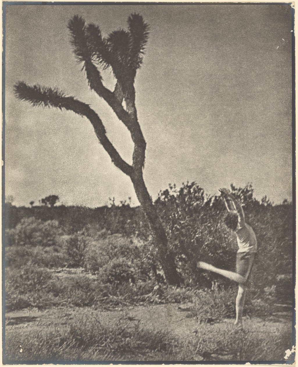 [Dansare vid Joshua Tree] av Louis Fleckenstein