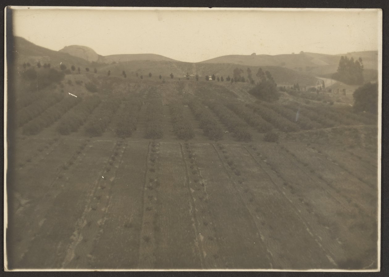 [Farm Landscape] av Louis Fleckenstein