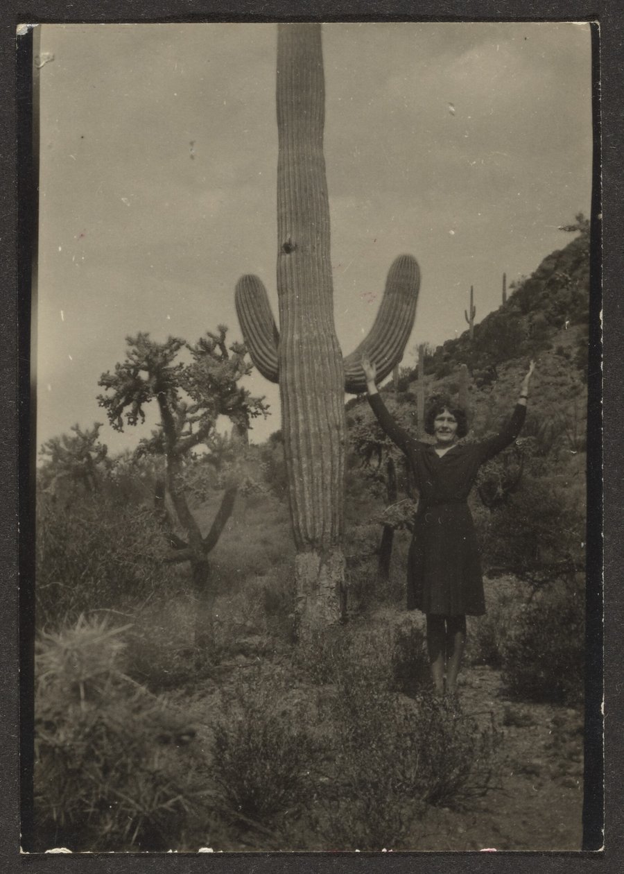[Florence och Cactus] av Louis Fleckenstein