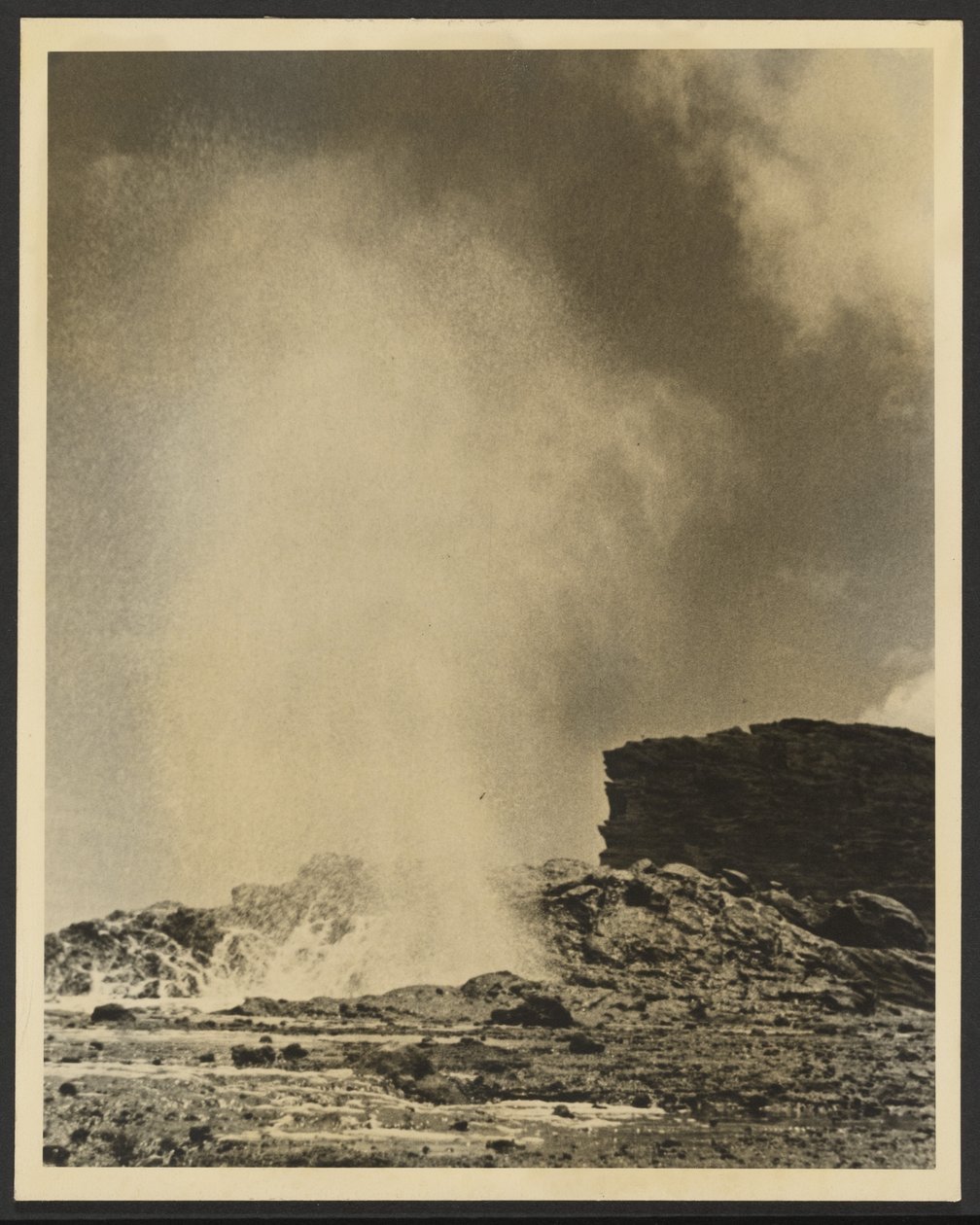 [Geyser] av Louis Fleckenstein