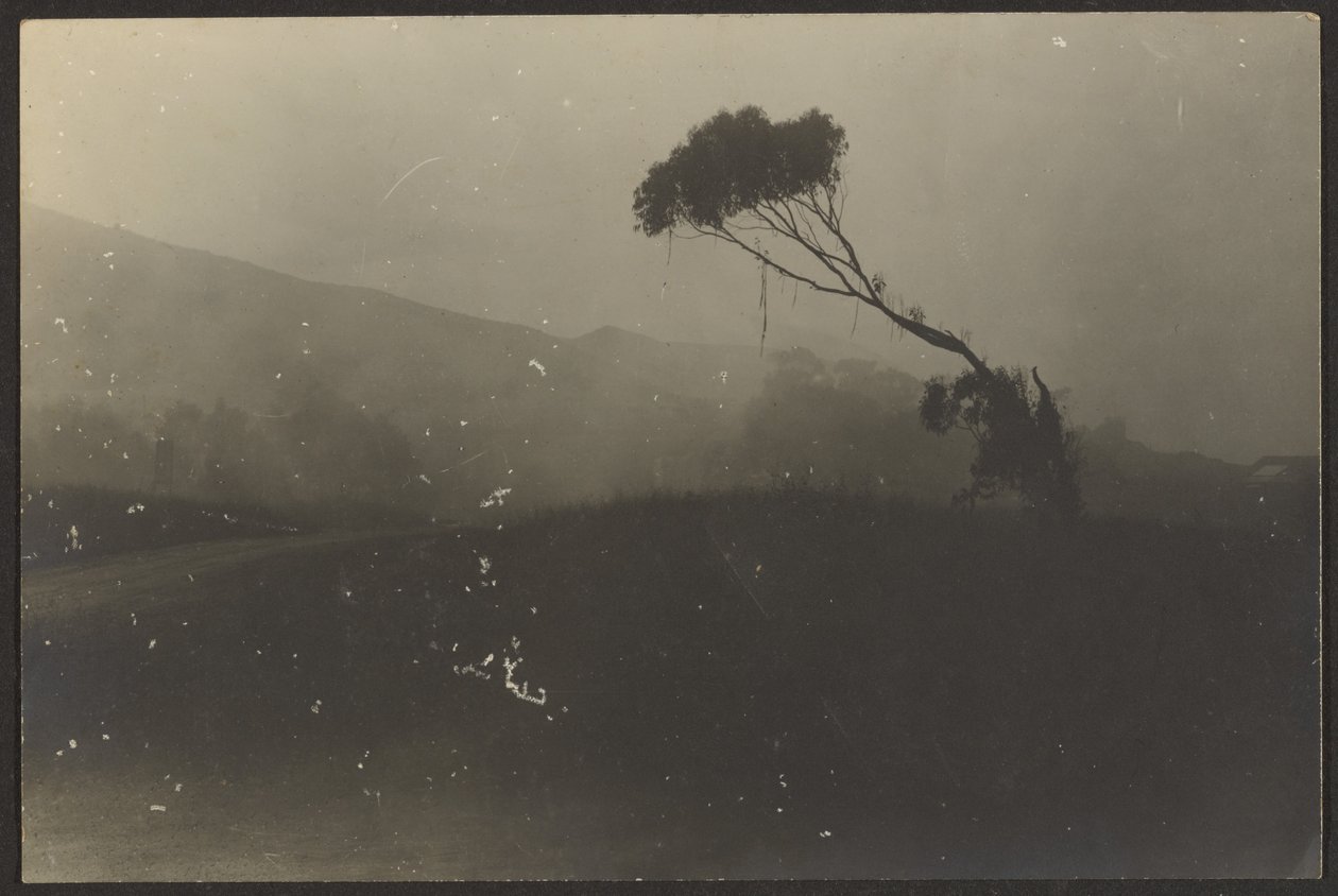 Laguna Beach av Louis Fleckenstein