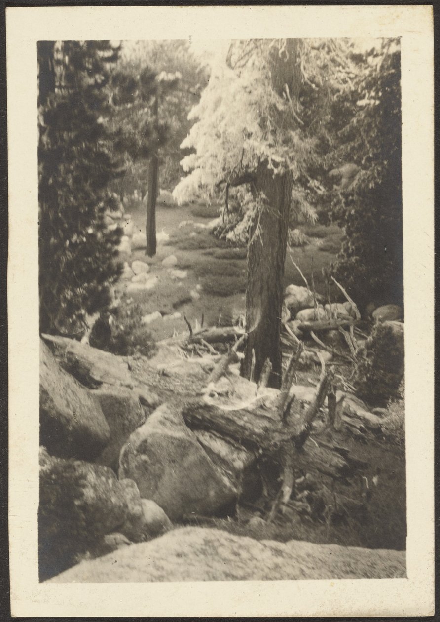 [Landskap] av Louis Fleckenstein