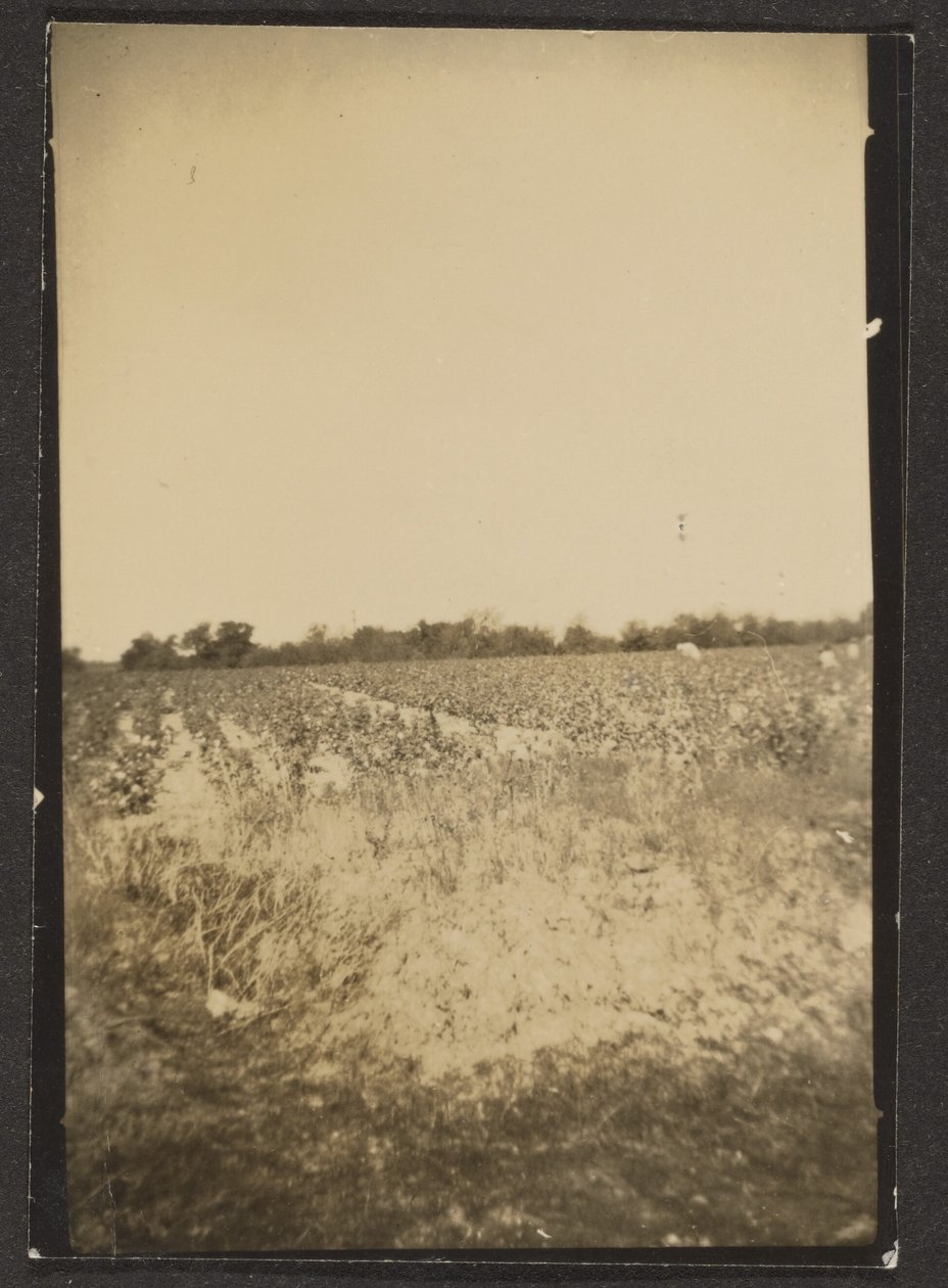 [Landskap] av Louis Fleckenstein