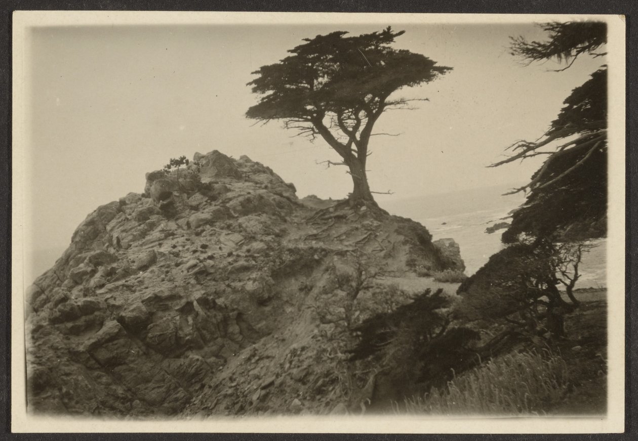 [Landskap med en ensam cypress] av Louis Fleckenstein