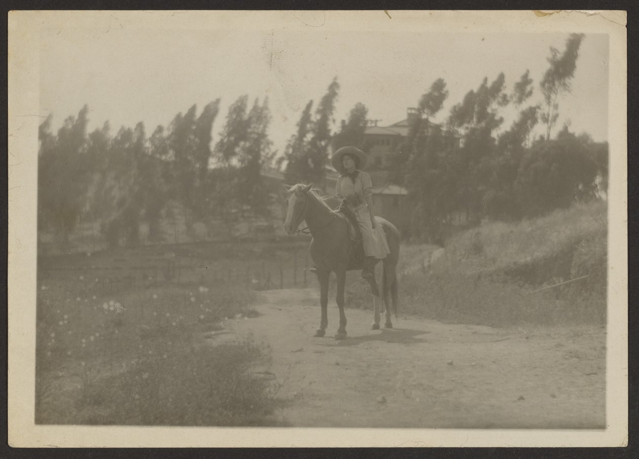 Miss Fleckenstein i de höga sierrabergen av Louis Fleckenstein
