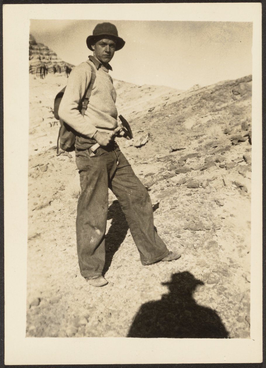 [Bergsklättrare] av Louis Fleckenstein