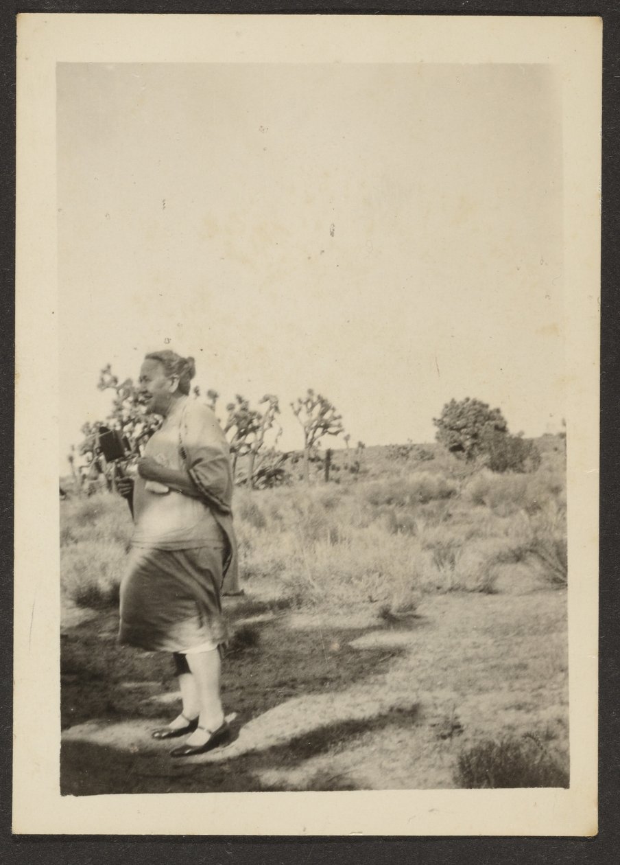 [Mrs Fleckenstein i Landscape] av Louis Fleckenstein