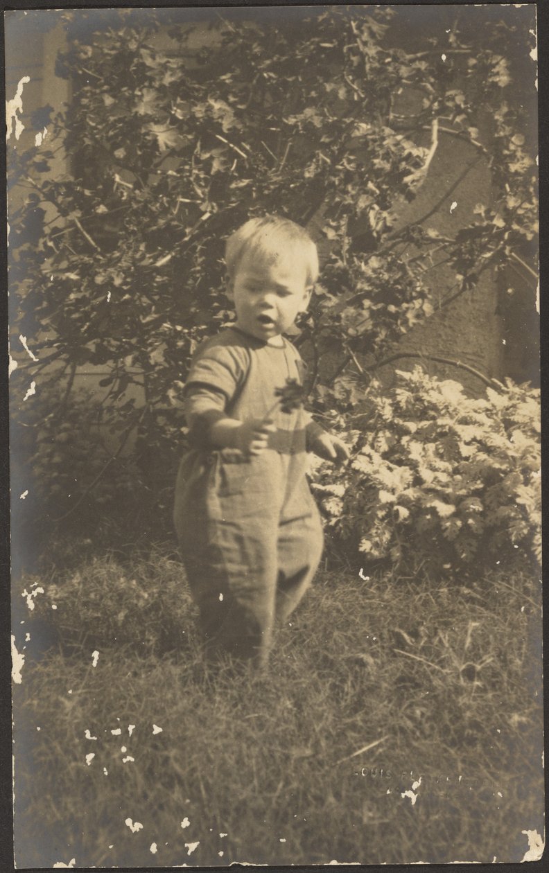 [Porträtt av ett barn i en trädgård] av Louis Fleckenstein