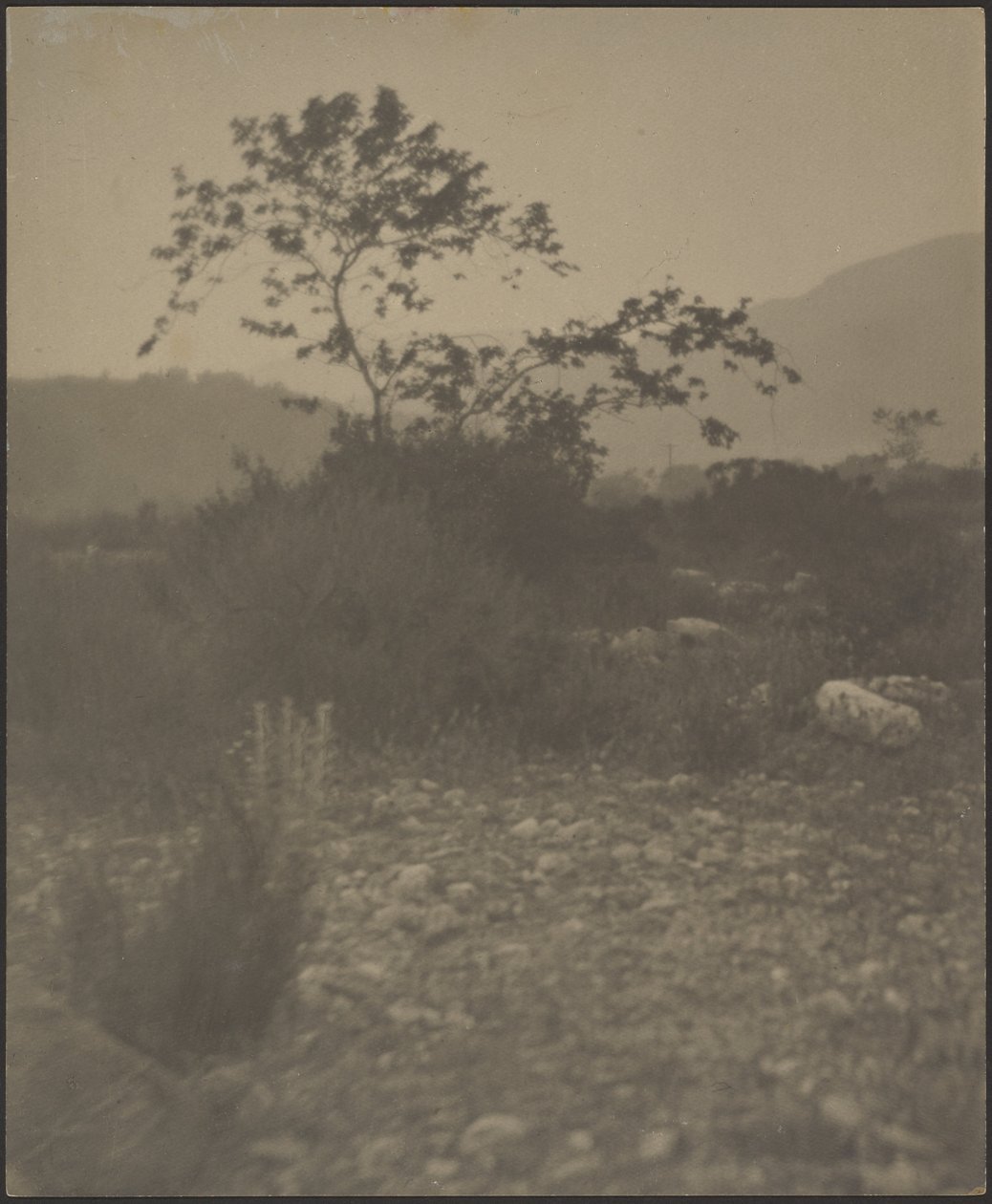 [Rocky Landscape] av Louis Fleckenstein