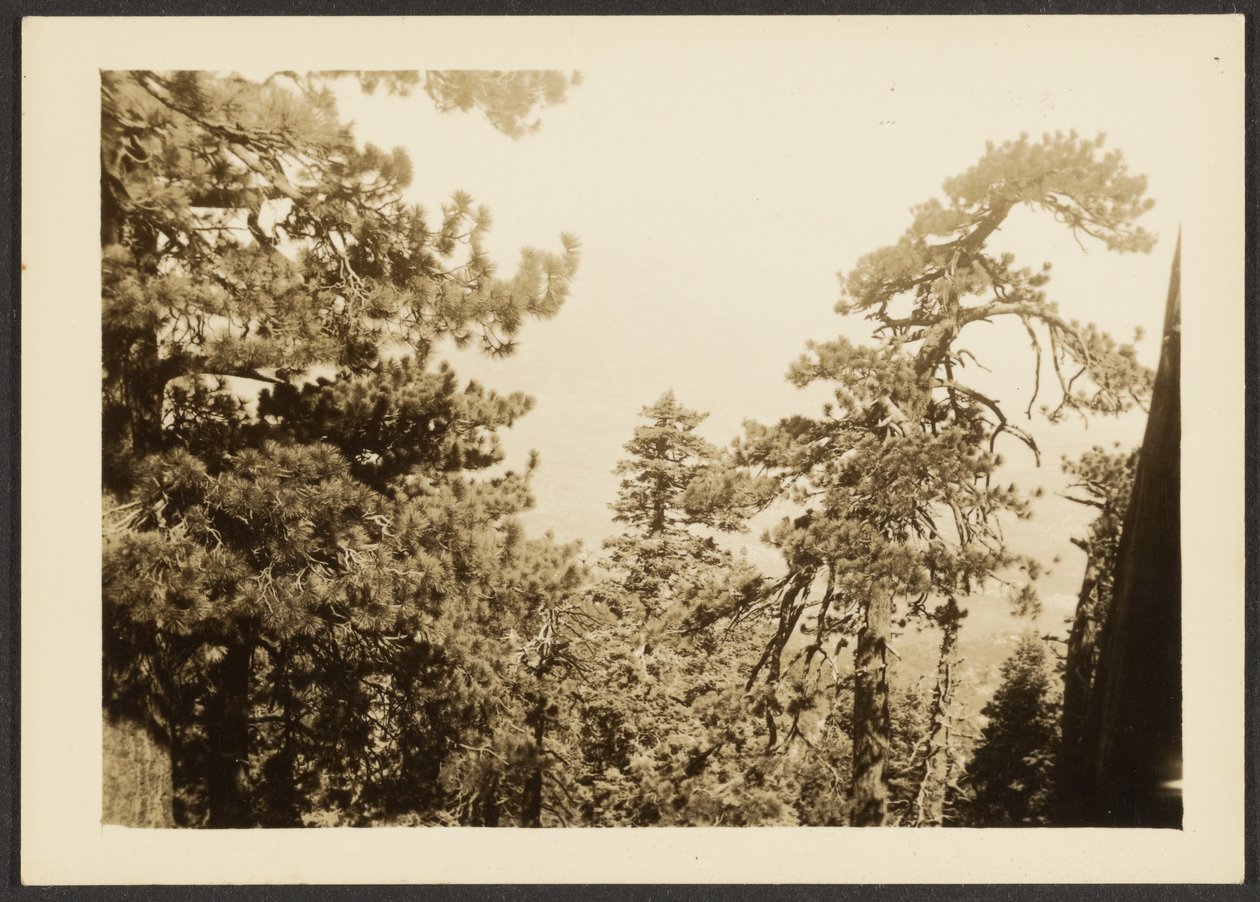 [Santa Rosa Peak] av Louis Fleckenstein