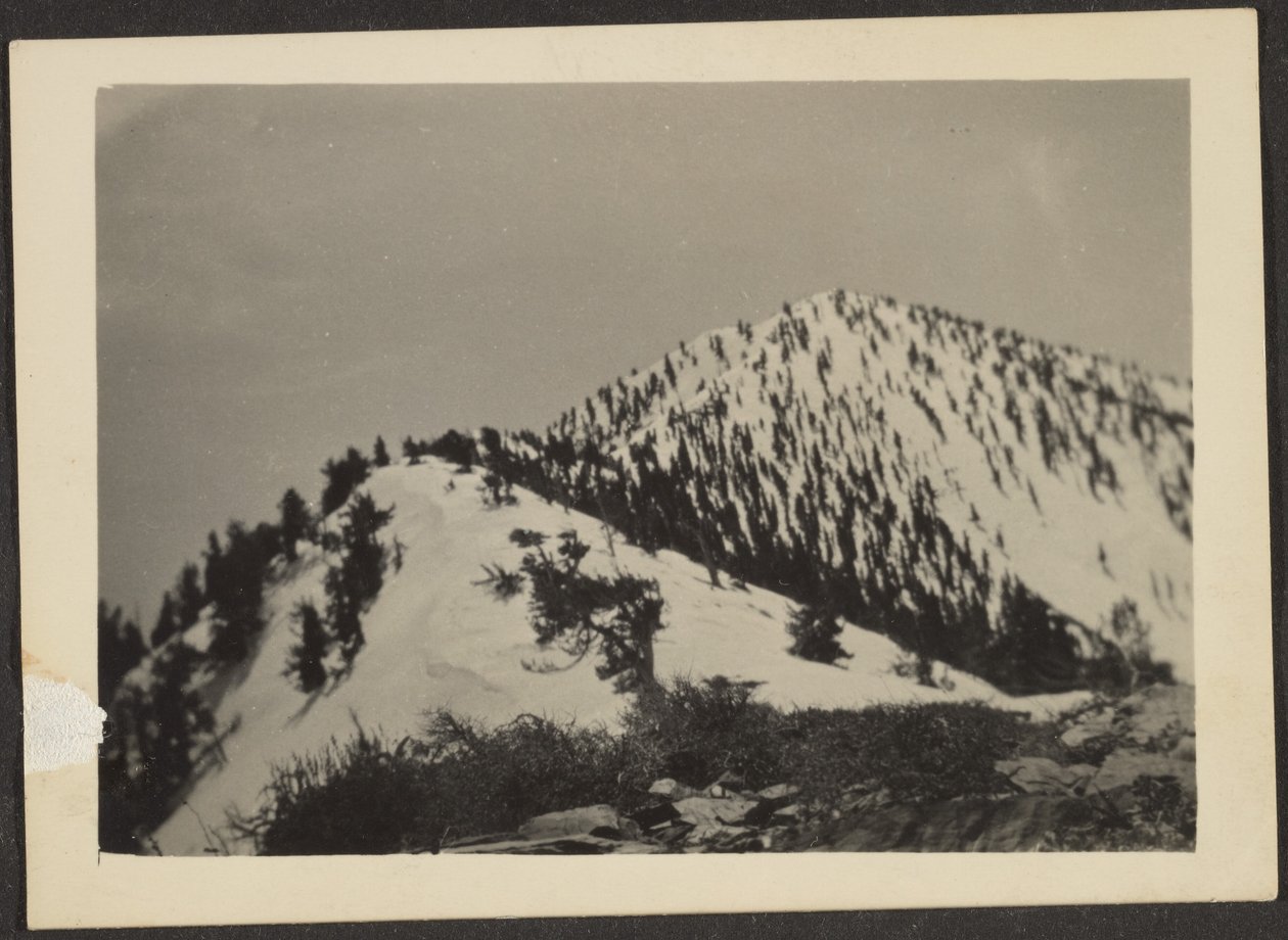 [Telescope Peak] av Louis Fleckenstein