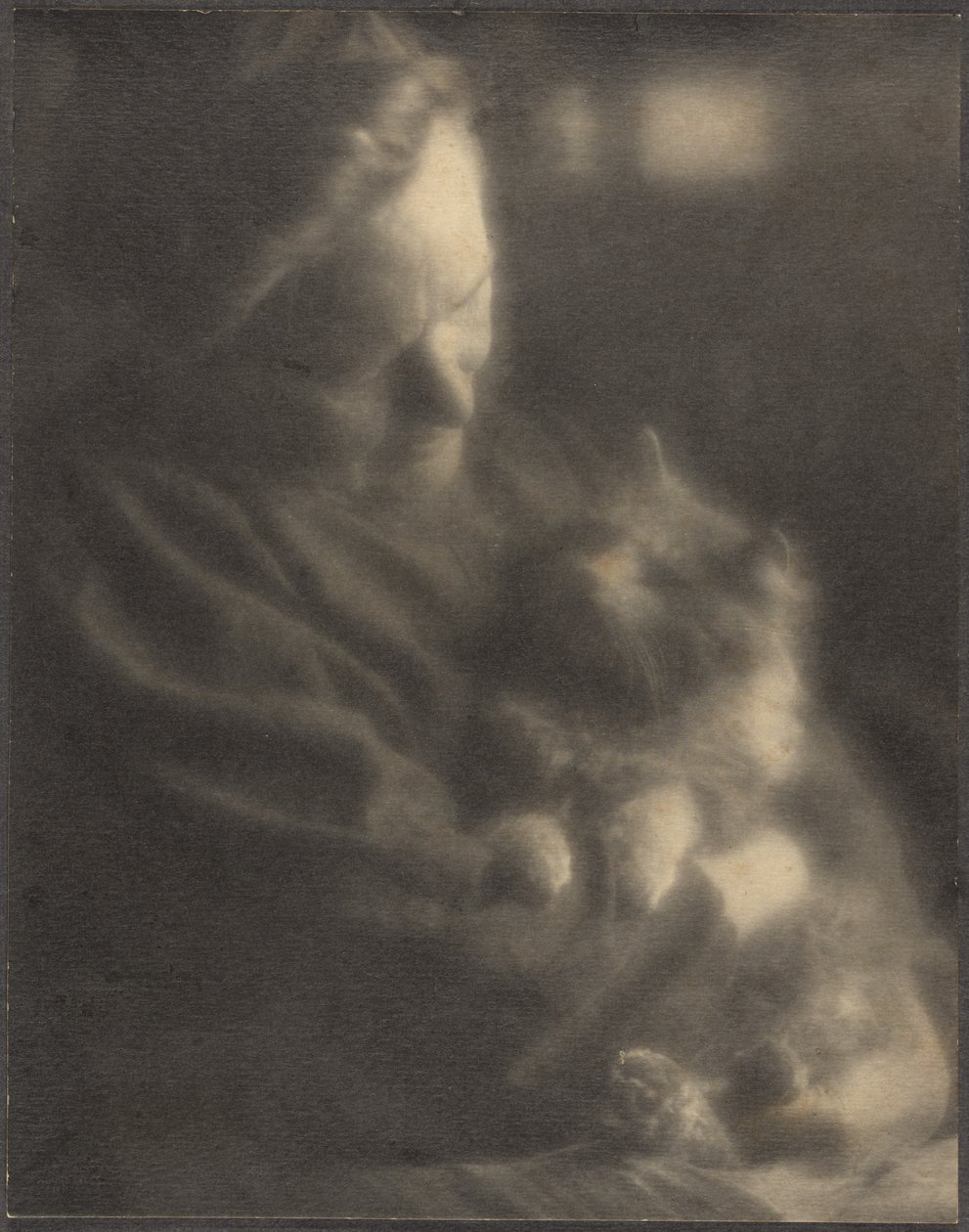 Husdjuret Angora av Louis Fleckenstein