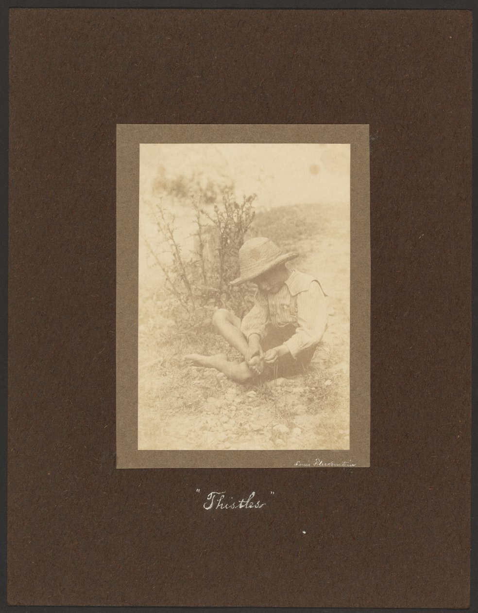 Tistlar av Louis Fleckenstein