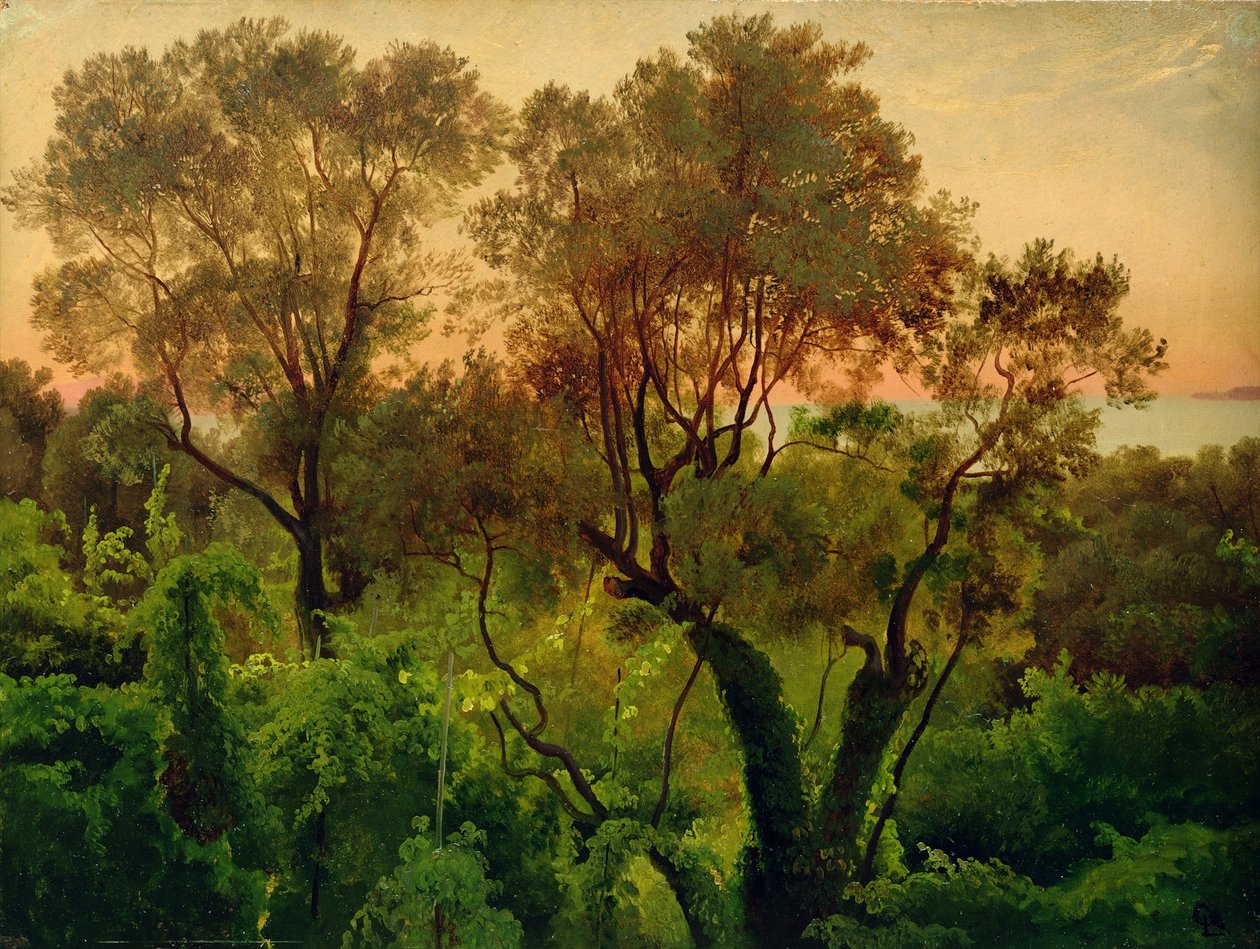 Sluttning med olivträd av Louis Gurlitt