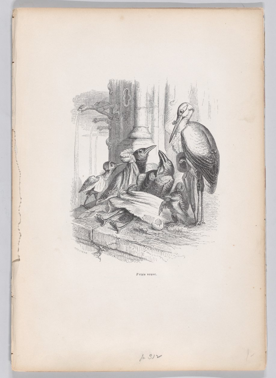 Jag var änka från scener ur djurens privata och offentliga liv, ca. 1837-47. av Louis Henri Brévière