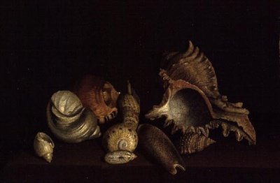 Stilleben av snäckor på en avsats, 1600-talet av Louis Hubner