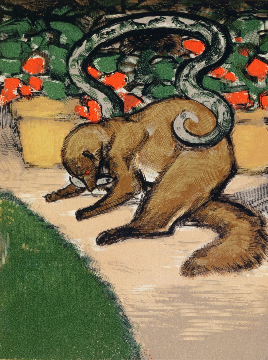 Rikki-Tikki-Tavi, illustration ur "Djungelboken" av Rudyard Kipling (1965-1936) utgiven i Paris av Louis Joseph Soulas
