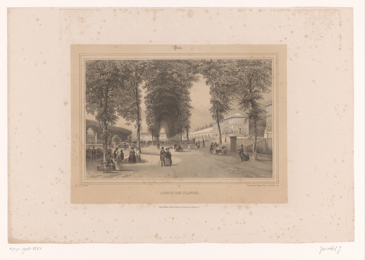 Utsikt över Jardin des Plantes Jardin des Plantes (titel på objekt) Ansikten i och runt Paris (serietitel) Paris (serietitel på objekt) av Louis Julien Jacottet