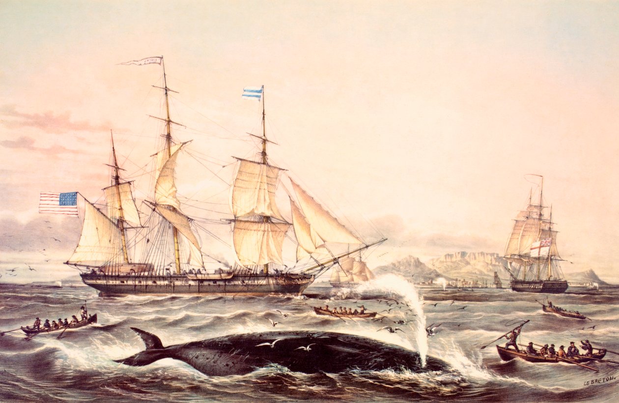 Valfångst utanför Kap det goda hoppet av Louis Le Breton