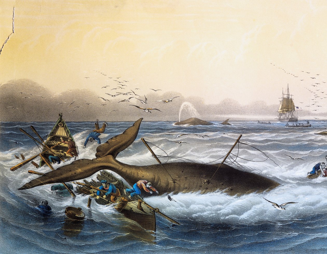 Whaling in South Seas, färglitografi av Louis Lebreton (död 1866) av Louis Le Breton
