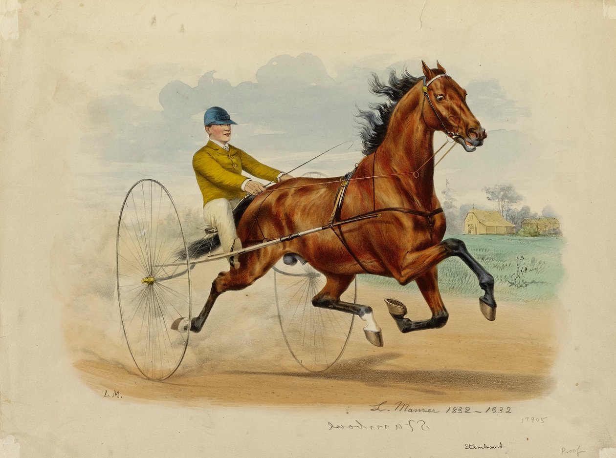 Stamboul av Louis Maurer