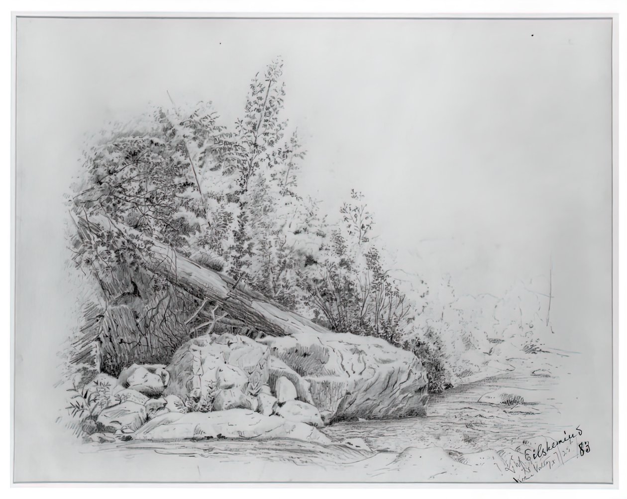 Fallen Tree, Keene Valley, 25 juli 1883. av Louis Michel Eilshemius