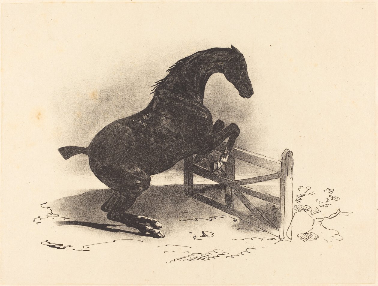 Häst som hoppar en barriär av Louis Pierre Marie Courtin after Théodore Gericault