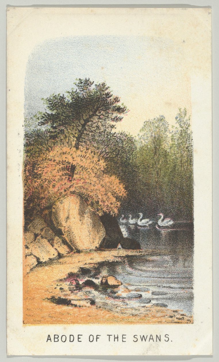Abode of the Swans, från serien, Views in Central Park, New York, del 2, 1864. av Louis Prang