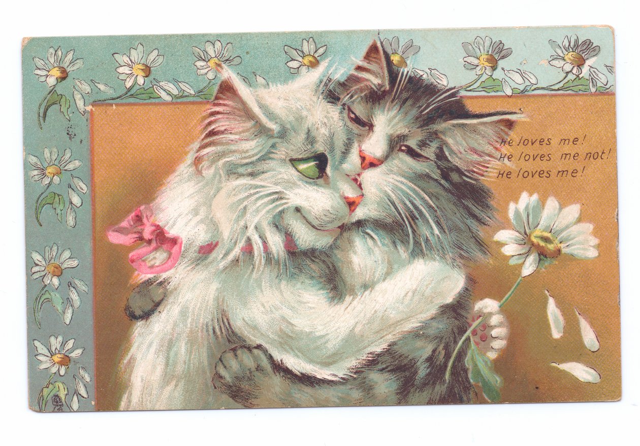 Edwardianskt vykort av två katter som kramar varandra, c.1910 av Louis Wain