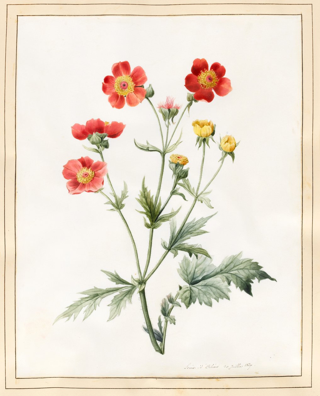 Komposit, 1827 (wc med viss kroppsfärg på veläng) av Louise DOrleans