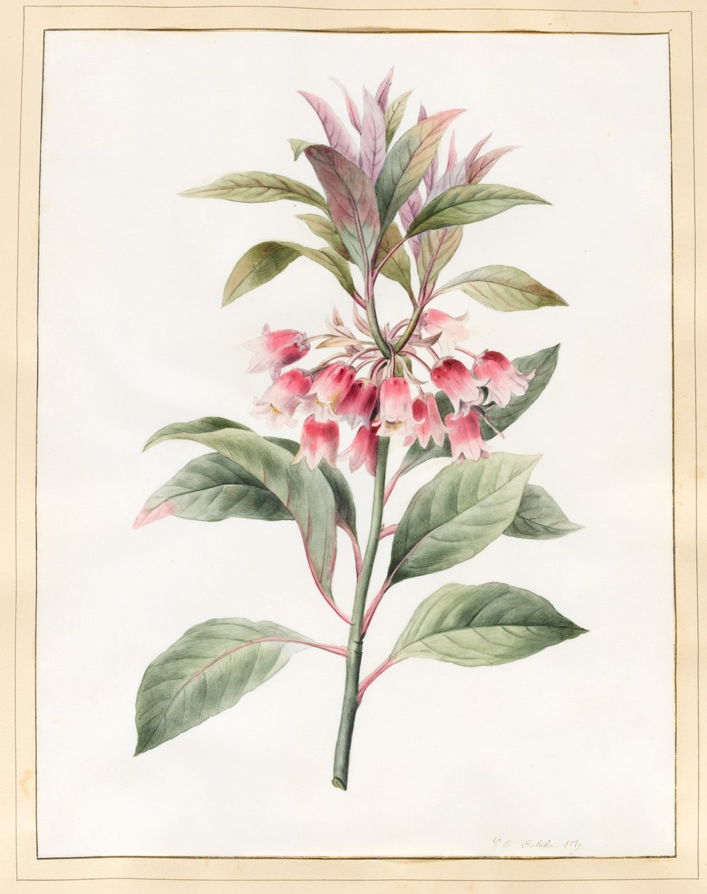 Utan titel, 1827 (wc på pergament) av Louise DOrleans