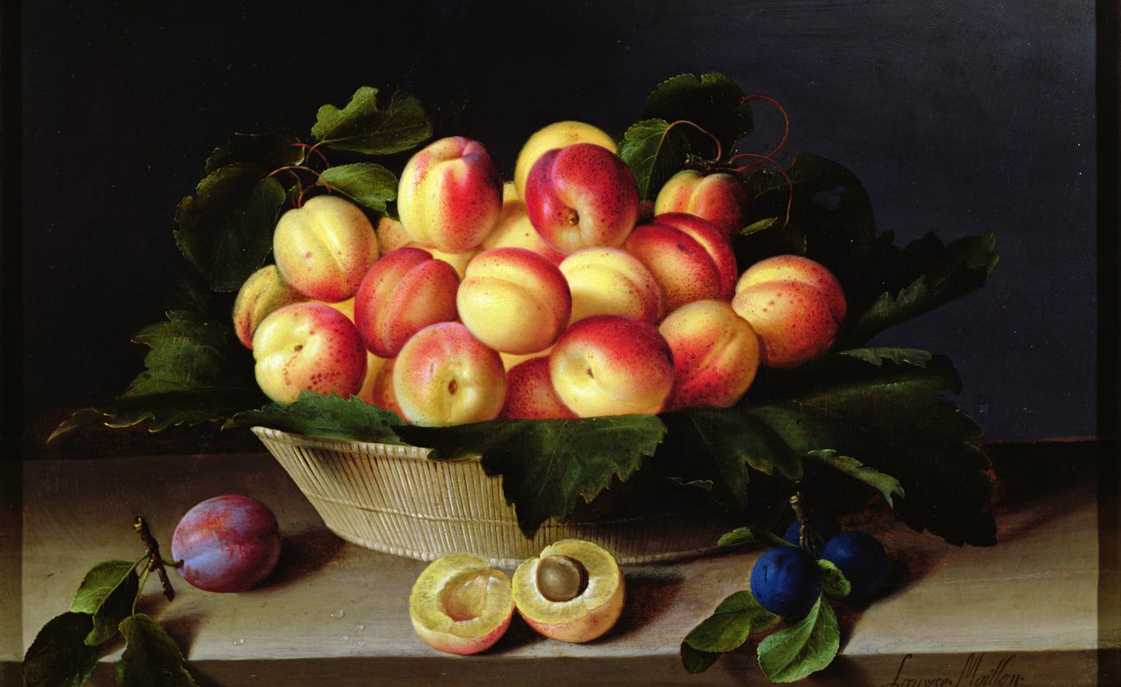 Korg med aprikoser, 1634 av Louise Moillon